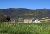 IMG_8767.jpg