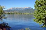IMG_8771.jpg