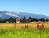 IMG_8829.jpg