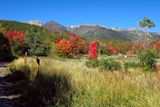IMG_9062.jpg