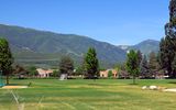 IMG_0845.jpg