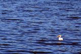 IMG_0887.jpg