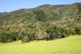 IMG_1126.jpg