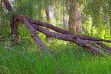 IMG_1165.jpg