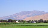 IMG_1251.jpg