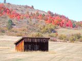 DSCN0253.jpg