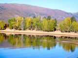 DSCN0318.jpg