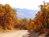 DSCN0473.jpg