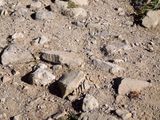 DSCN0858.jpg