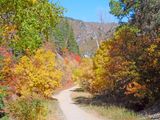 DSCN0863.jpg