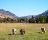 DSCN0927.jpg