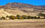 DSCN0933.jpg