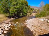 DSCN1146.jpg