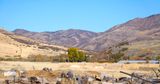 DSCN1154.jpg