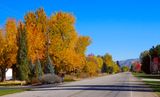 DSCN1189.jpg