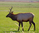 DSCN1437.jpg