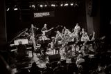 Christoph Cech Jazz Orchestra Project Healthy Tree