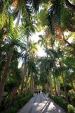 Aswan Botanical Garden