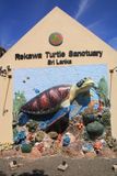 The Turtle Conservation Project