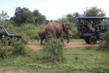 Udawalawe National Park
