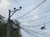 IMG_20250317