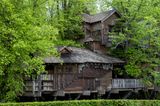 Alnwick Garden 5 