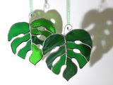 Monstera Leaves