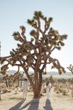 how to elope in california-1.jpg