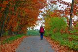 Autumn Walk