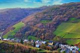 Vinyards and Forests lining the Moselle River Banks