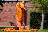 Pumpkin Art - Sea Horse