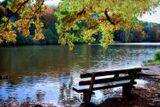 Peaceful View over the Lake