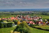 Wine Growing Village 