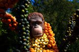 Monkey