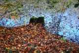 A Pile of Leaves