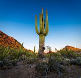 Desert Tower