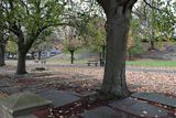 0123_R3__4174.JPG