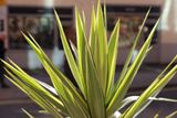 0341_R5_12801.JPG