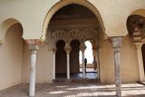 0236_RF_62062.JPG