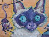 0573_OM1A0952.JPG