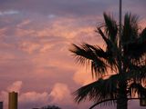 0341_OM100876.JPG