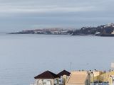 016_OM110092.JPG