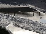 033_OM110182.JPG