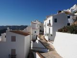 107_OM110778.JPG