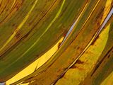160_OM111080.JPG