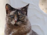 204_OM111202.JPG