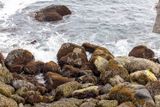 039_S_R5_10606.jpg