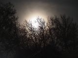 077_OM100247.JPG