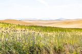 086_P_R6_26788.jpg