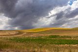 157_P_R6_27121.jpg